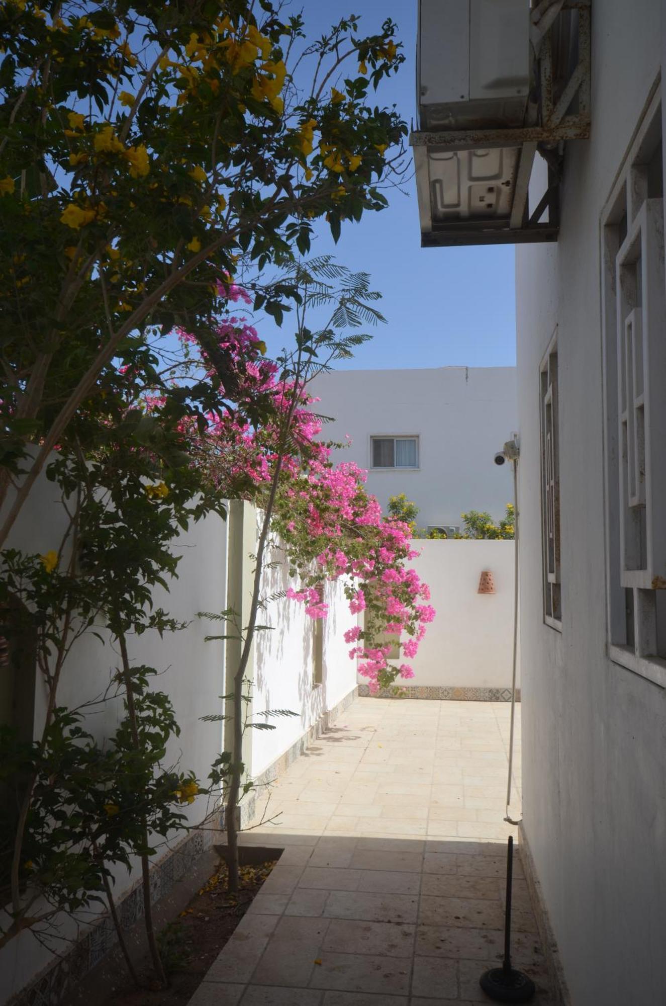 Elite Residence Dahab Exteriér fotografie